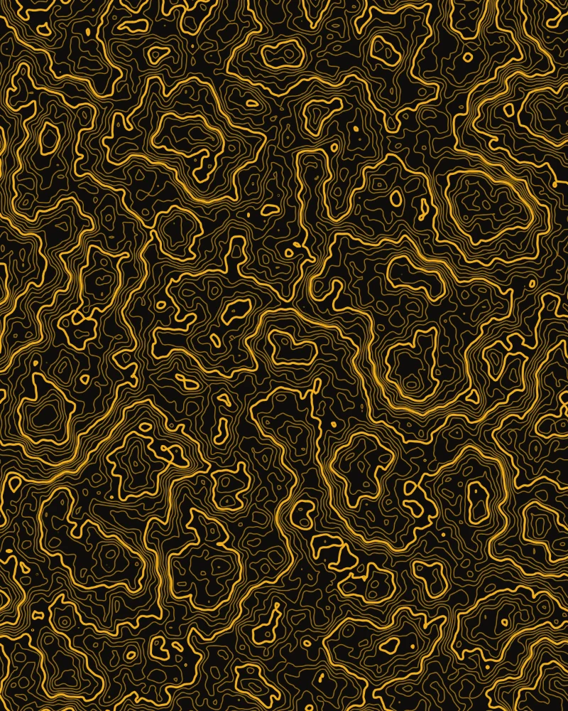 Plate I, Allegheny: tangled gold contours of a plateau cut by hollows, on black.